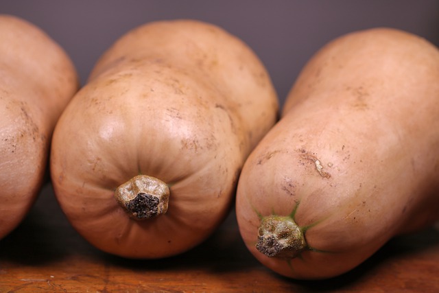 Purée de butternut